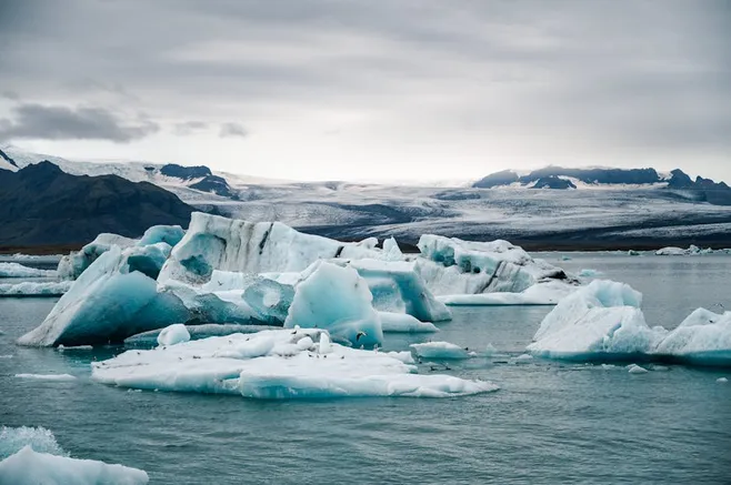 1. Cambia el agua regularmente