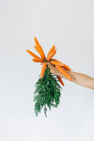 1. Preparación de la planta