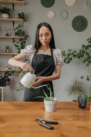 1. ¿Puedo podar mi planta de aloe vera?