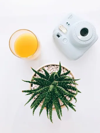 1. Zumo natural de Aloe Vera