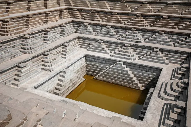 2. Coloca el esqueje en el agua