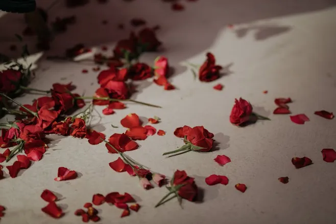 5. Retira las flores marchitas