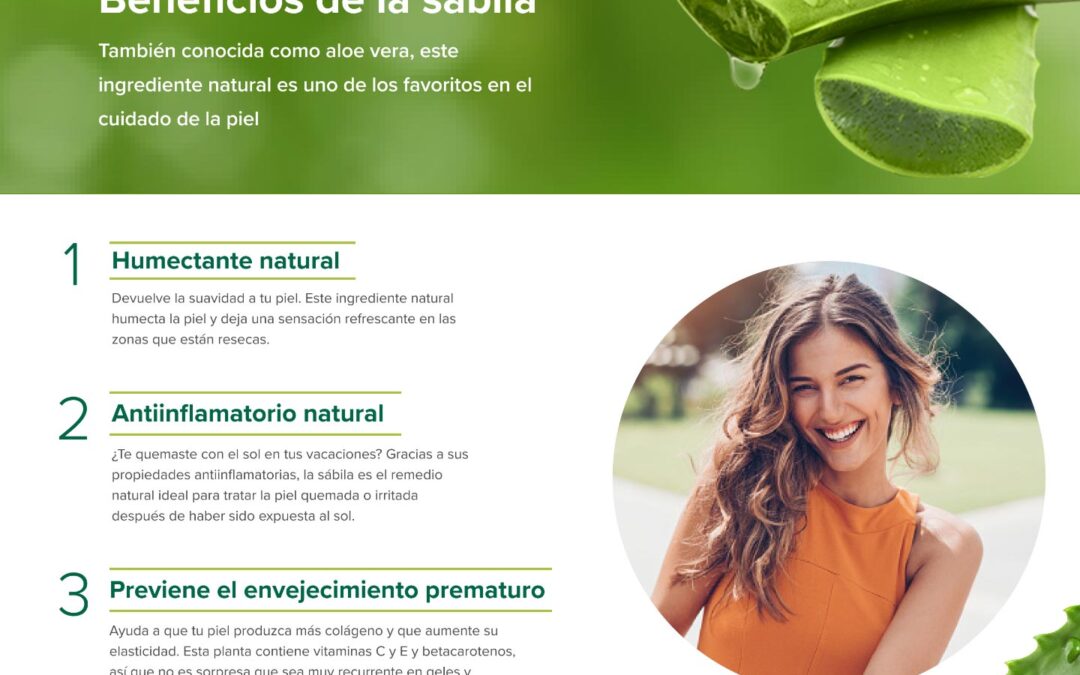 5 usos sorprendentes para tu penca de aloe vera