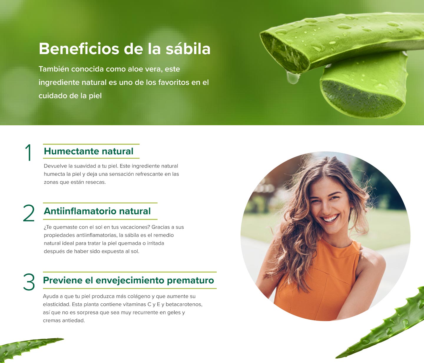 5-usos-sorprendentes-para-tu-penca-de-aloe-vera
