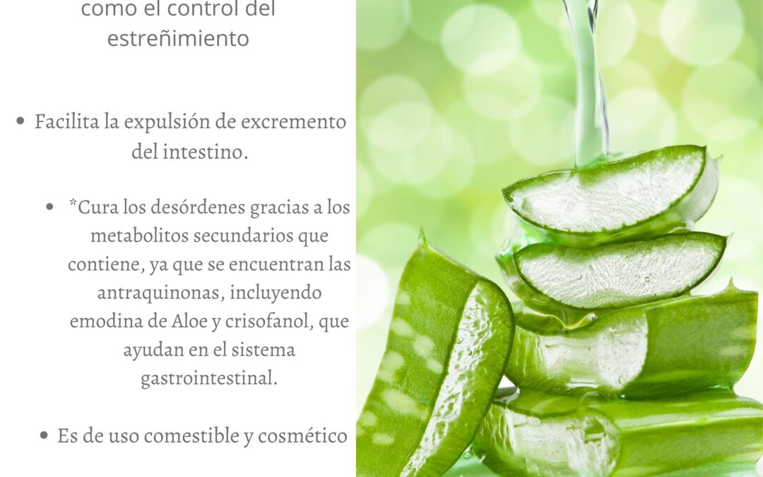 Alivia la gastritis naturalmente con Aloe Vera
