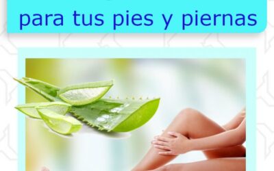Alivia tus pies con el poder del aloe vera