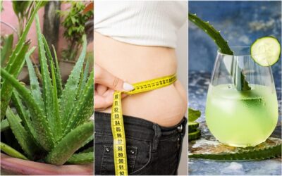 Aloe para bajar la panza: aprende a prepararlo correctamente