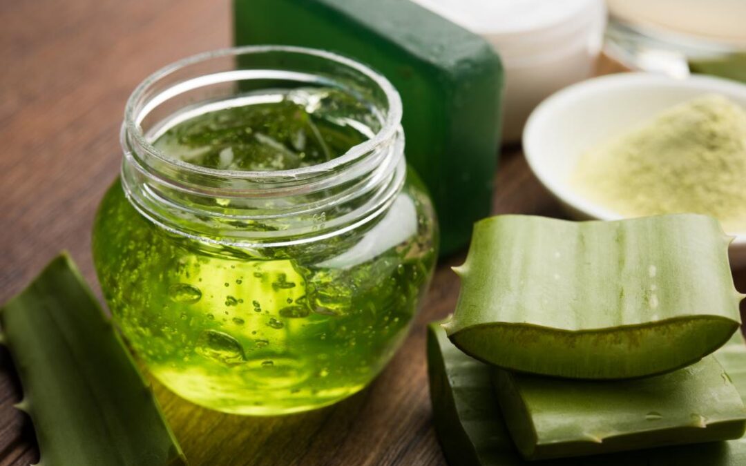 Aloe vera: alivio natural para la dermatitis