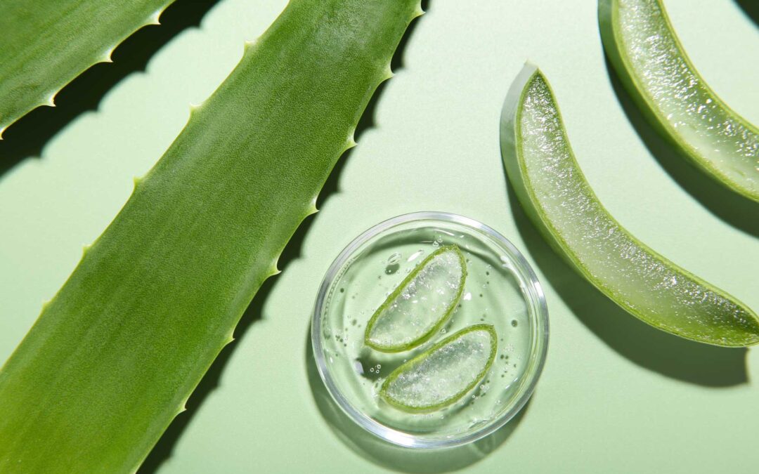 Aloe vera para queratosis actínica: ¡adiós a las lesiones cutáneas!