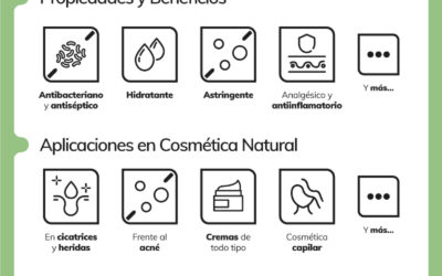 Aprende a detectar el aloe vera puro: tips y recomendaciones