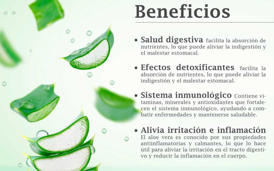 Bebida de aloe vera: ¡descubre sus beneficios!