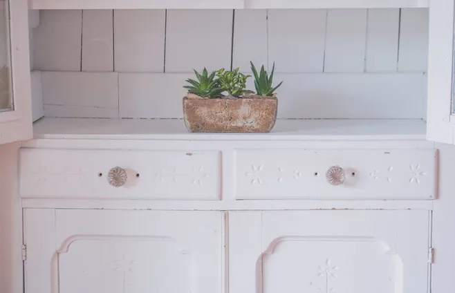 Beneficios del Aloe Vera en la cocina