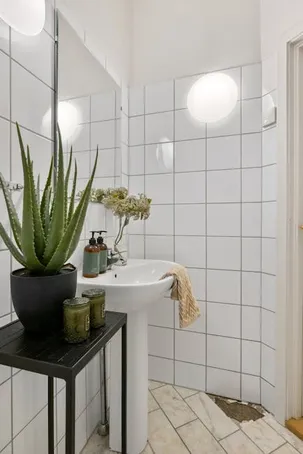 ¿Cómo hacer jabón de aloe vera en casa?