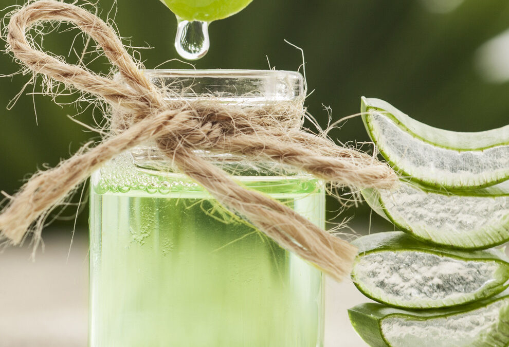 Consejos para conservar tu gel de aloe vera casero
