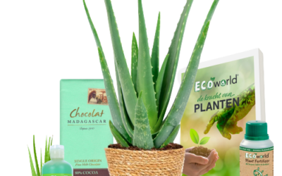 ¡Consigue tu aloe vera! Plantas en venta ahora