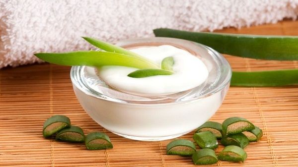 Crema de Aloe Vera casera: fácil y económica