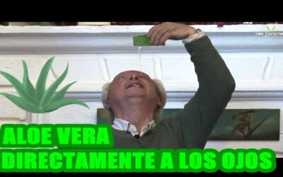 Cuida tus ojos con sábila: tips para una mirada radiante