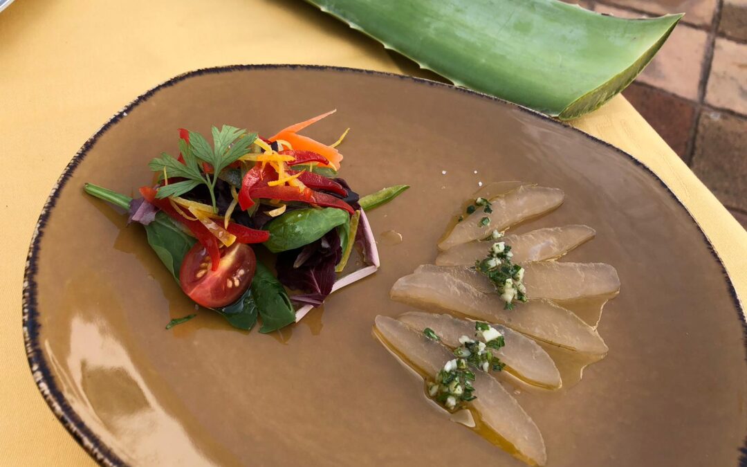 Deliciosas recetas de cocina con aloe vera: ¡Sorprende a tu paladar!