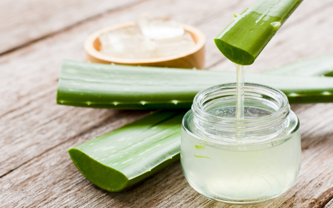 Descubre el sabor y los beneficios del aloe vera gel comestible