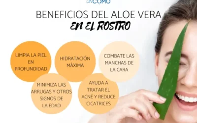 Descubre por qué tu piel pica después de aplicar Aloe Vera