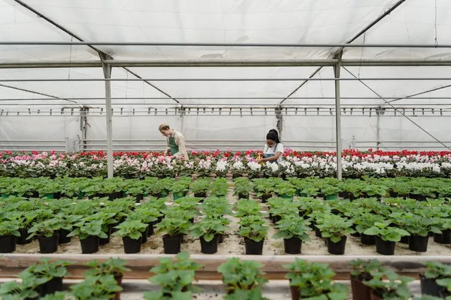 Fertilizar adecuadamente