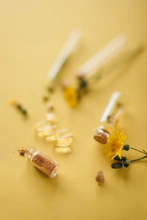 ¿La flor de aloe vera es fácil de cuidar?