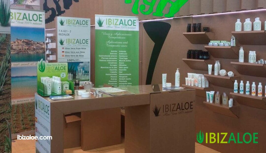 Lugares para conseguir gel de aloe vera de calidad