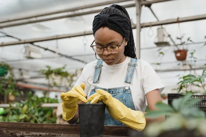 Podar las hojas correctamente