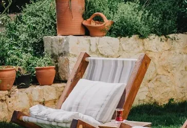 Aloe vera: ¿Sol o sombra? Descubre dónde plantarlo
