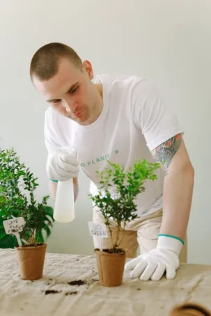 Cultiva y cuida tu propia planta de Aloe Vera: consejos prácticos