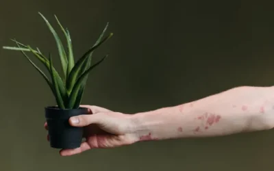 Revitaliza tu piel con Aloe Vera Gel Lifetakt