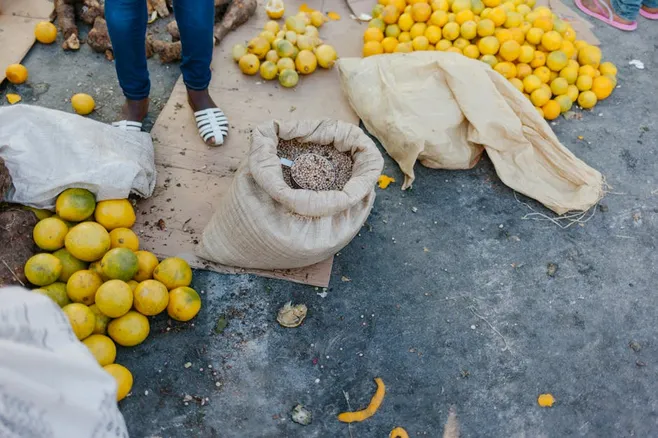 ¿Qué productos ofrece Nature Republic?