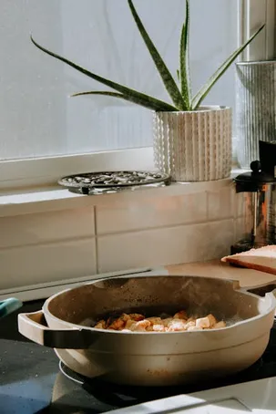 Recetas de cocina con aloe vera