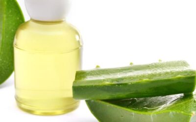 Secretos revelados: aprende a hacer champú casero con aloe vera