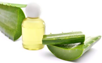 Shampoo de sábila casero para un cabello saludable