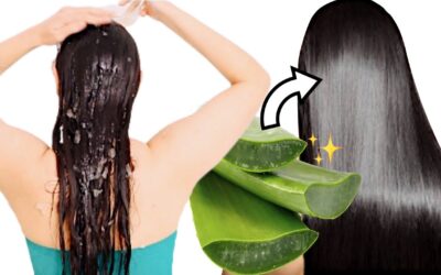 Shampoo de sábila para una melena perfecta: ¡aprende a hacerlo aquí!
