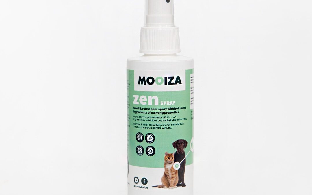Spray de aloe vera para tu peludo amigo: aprende cómo hacerlo en casa